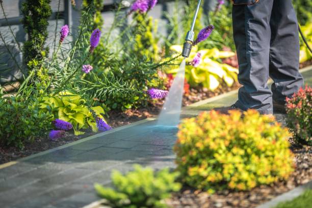 Centreville, MD Pressure Washing Services Company